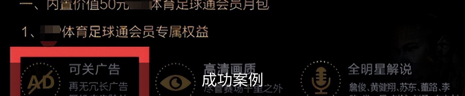 成功案例